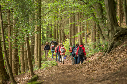Wandergruppe im Wald