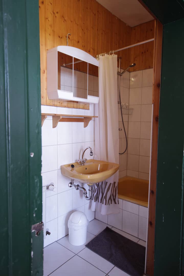 WC mit Dusche Apartment 33 - Teil der FeWo Fuchs