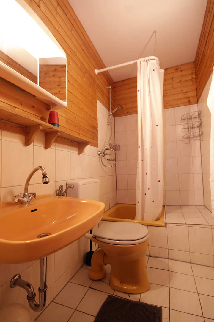 Badezimmer mit Dusche und WC, Apartment 14