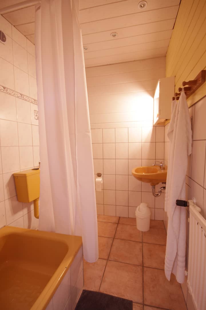 WC mit Dusche Apartment 25 - Teil der FeWo Dachs