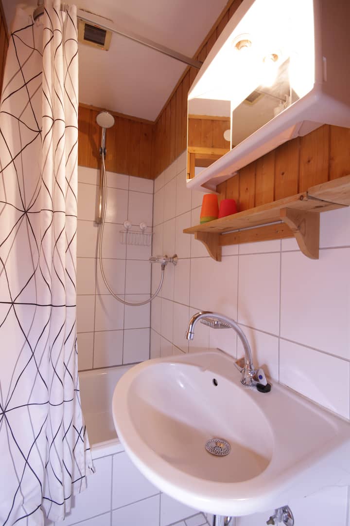 Dusche/WC Kombination in Apartment 63; Teil der FeWo Amsel